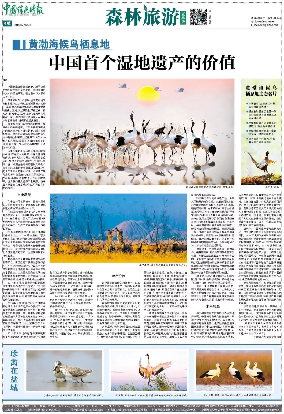 黄渤海候鸟栖息地——中国首个湿地遗产的价值 - 盐城新闻网