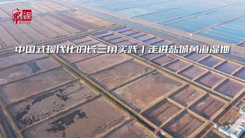 中国式现代化的长三角实践丨走进盐城黄海湿地