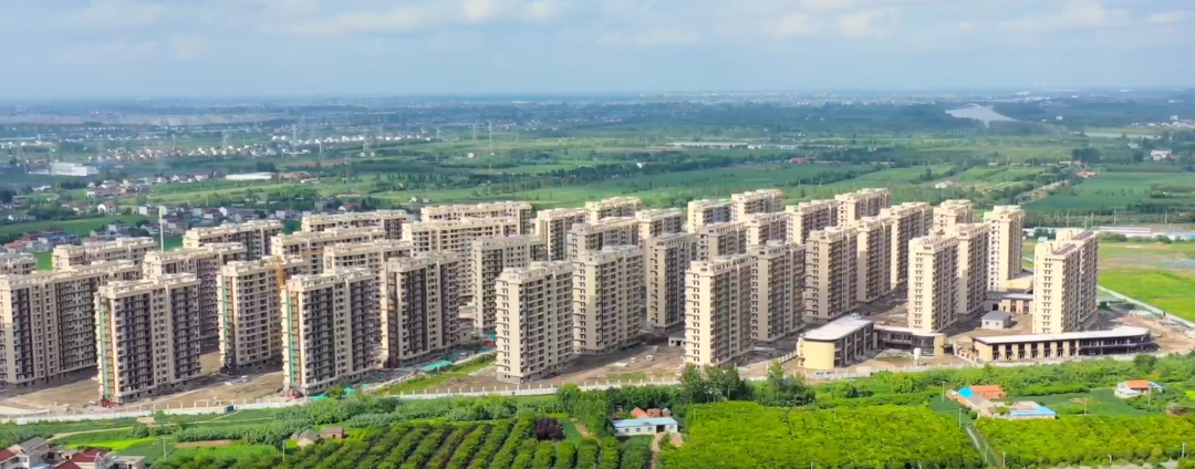 大洋湾.png 图片