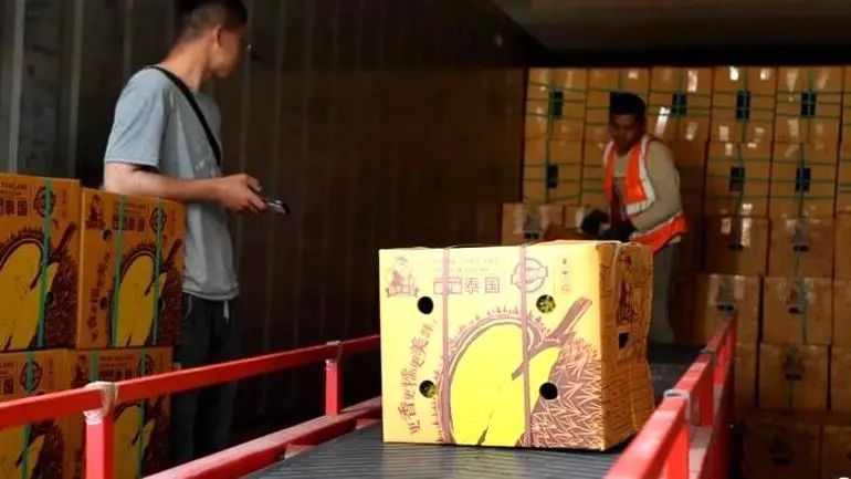 工人们对搭乘中老铁路而来的榴莲进行分装