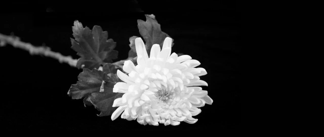 我们要永远铭记他们的牺牲和奉献