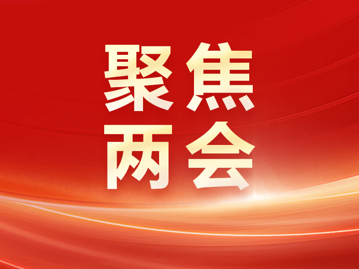 江苏代表团审议全国人大常委会工作报告