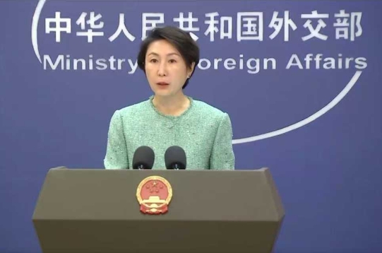 外交部回应中国防暑降温产品受到欧洲民众追捧
