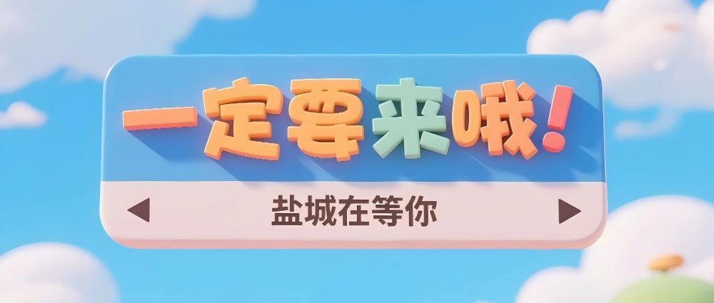 决定了！就去盐城（快来偶遇小布）