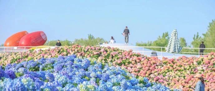 31℃！盐城未来几天……