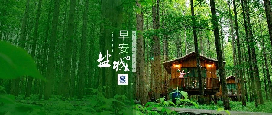 东兴高速最新进展｜早安·盐城