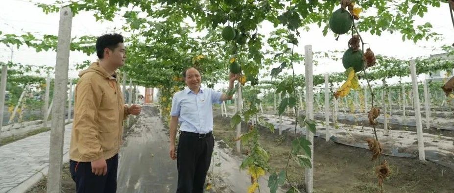 全国劳动模范周向东：敢闯敢干的富民“头雁”
