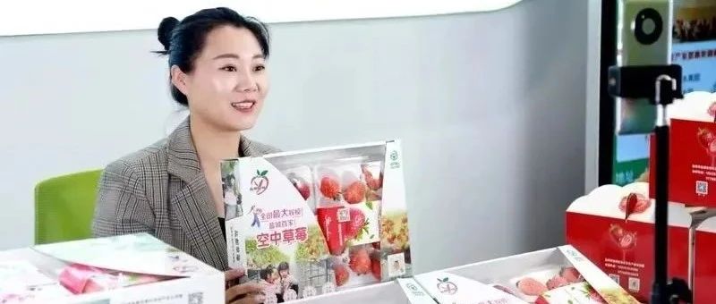 “归雁经济”激活城乡发展新动能