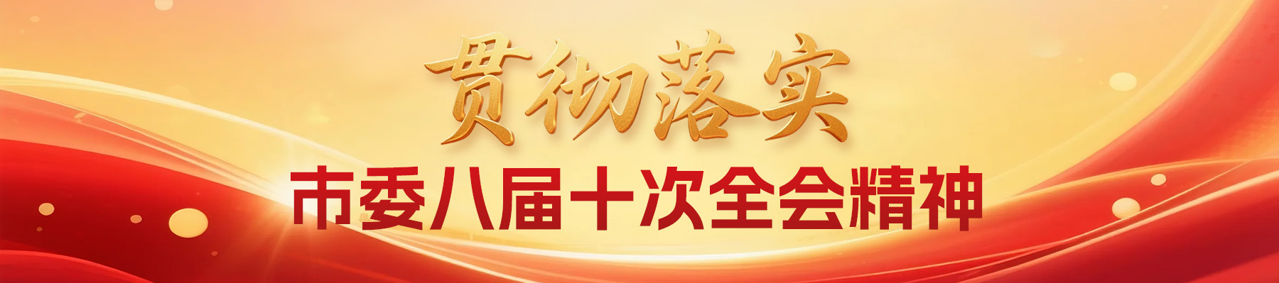贯彻落实市委八届十次全会精神