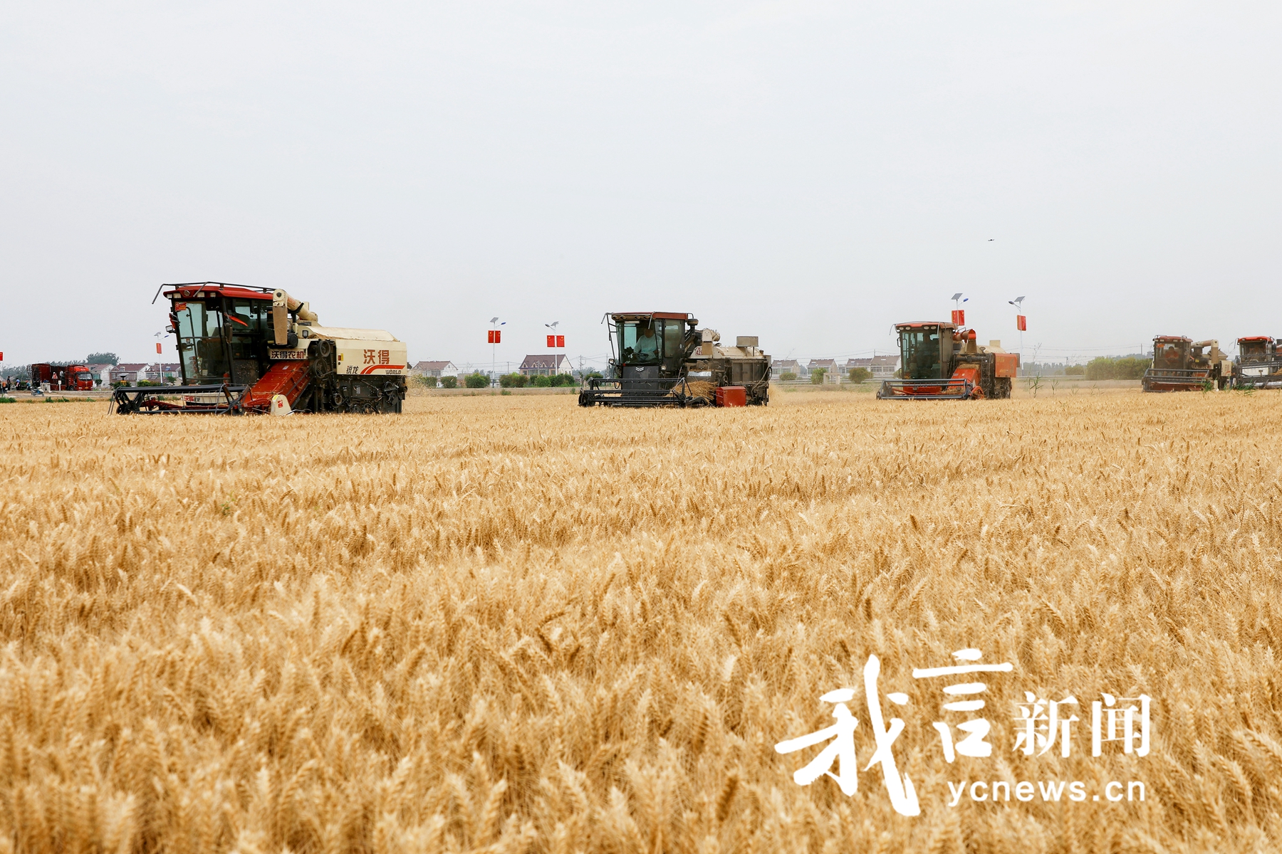 抢抓农时夏收忙