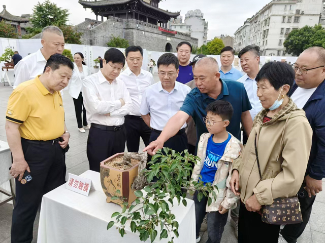阜宁政协举办艺术展纪念抗战胜利80周年