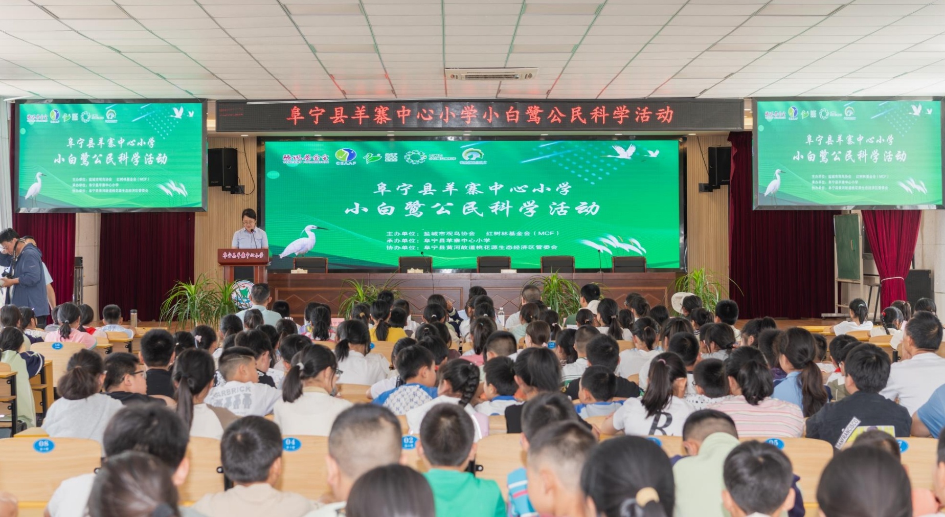 江苏阜宁羊寨镇:小白鹭“公民科学家”首飞桃花源