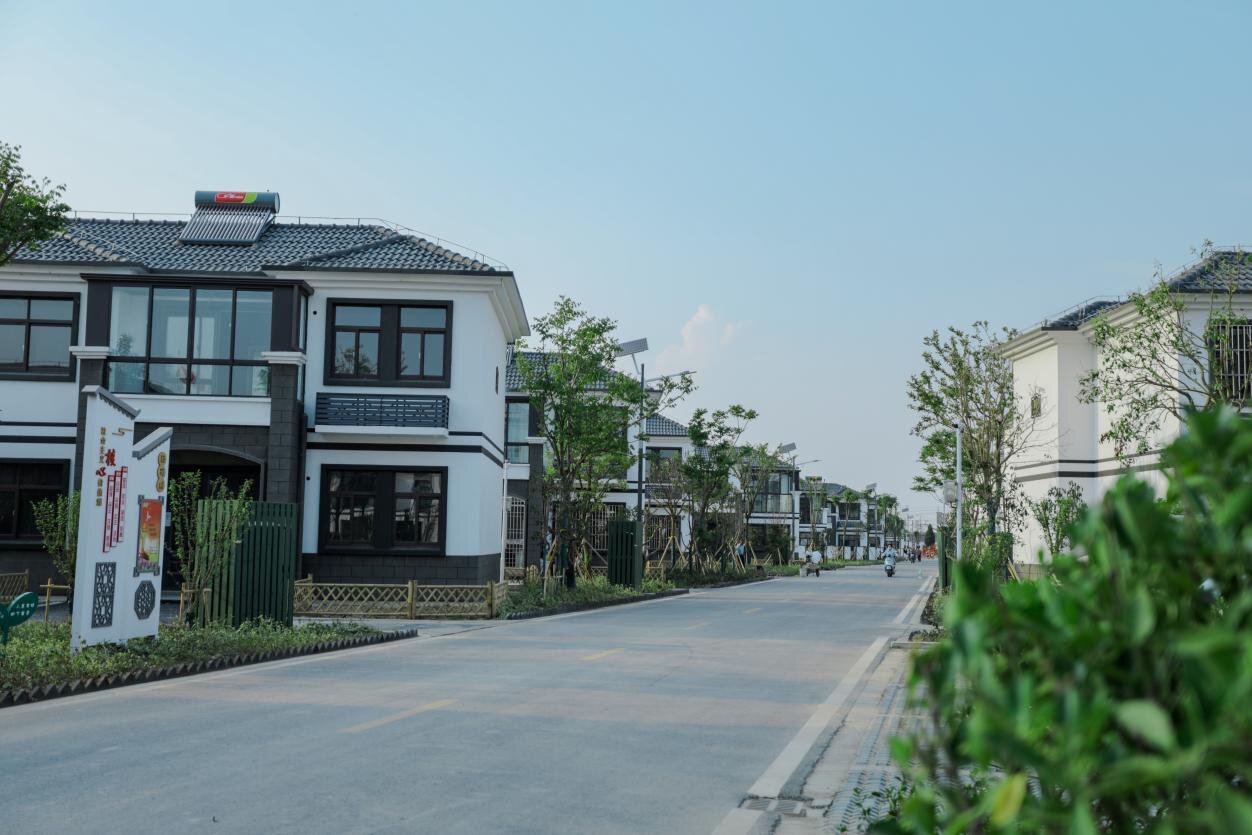 文明实践丨盐城大丰刘庄镇友谊村:文明花开沃野 幸福路通千家