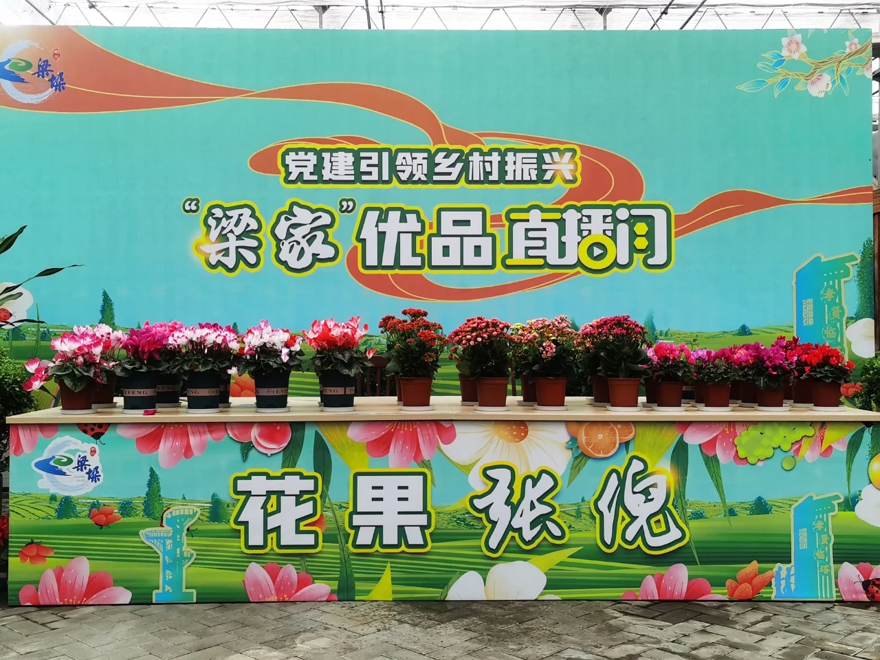 梁垛镇：巧借“云动力”   展现“新丰景”