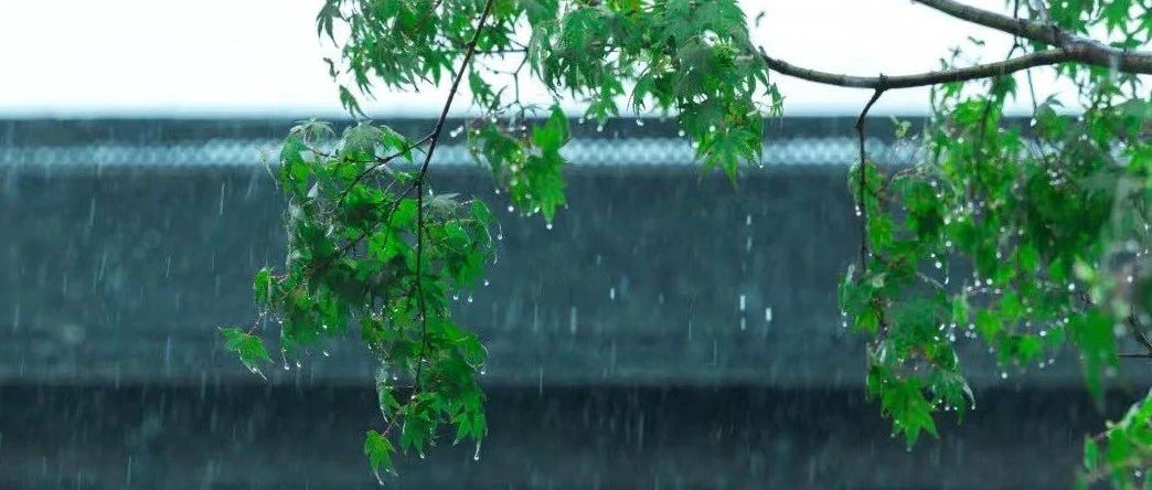 又一台风生成！盐城本周天气…