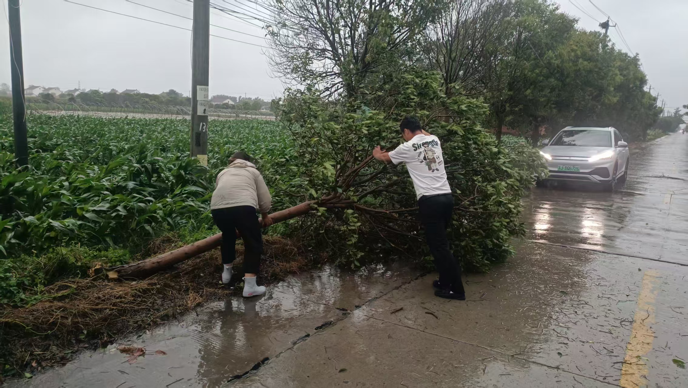 以“迅”应“汛” 向“险”而行—— 东台市新街镇多举措筑牢安全防线