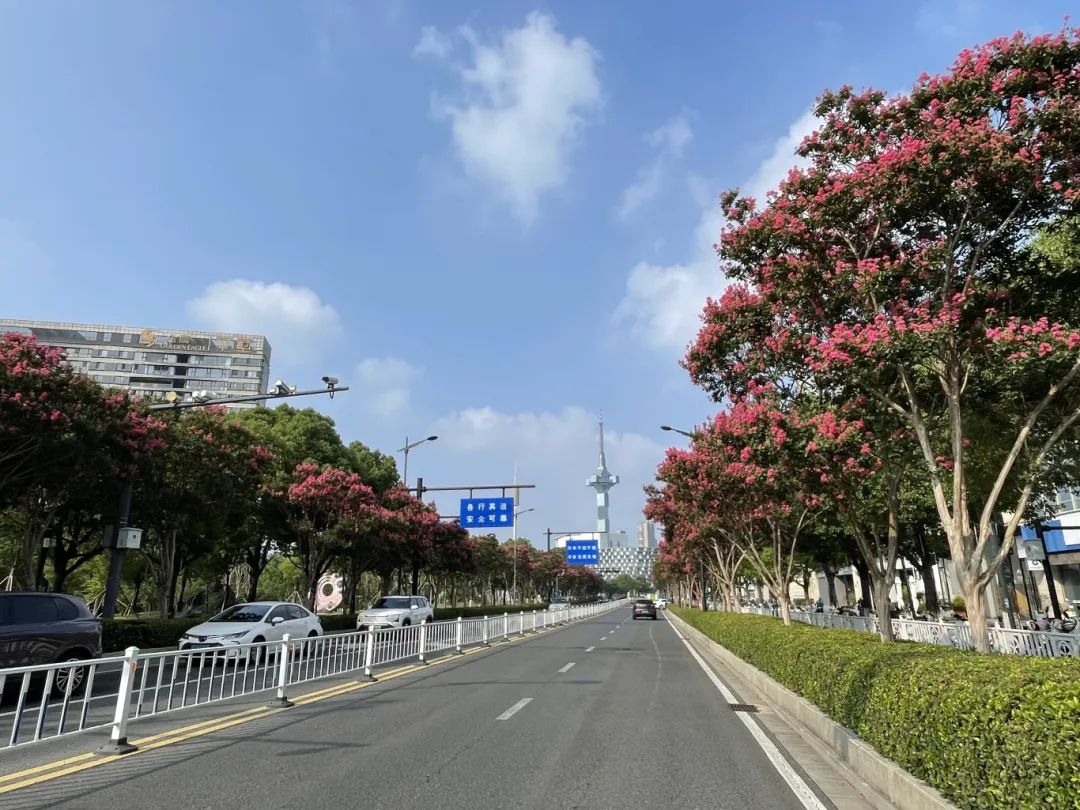 聚亨路.jpg