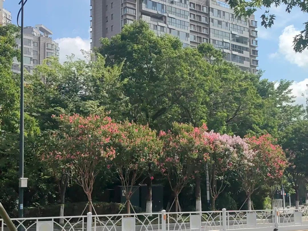 南港路.jpg