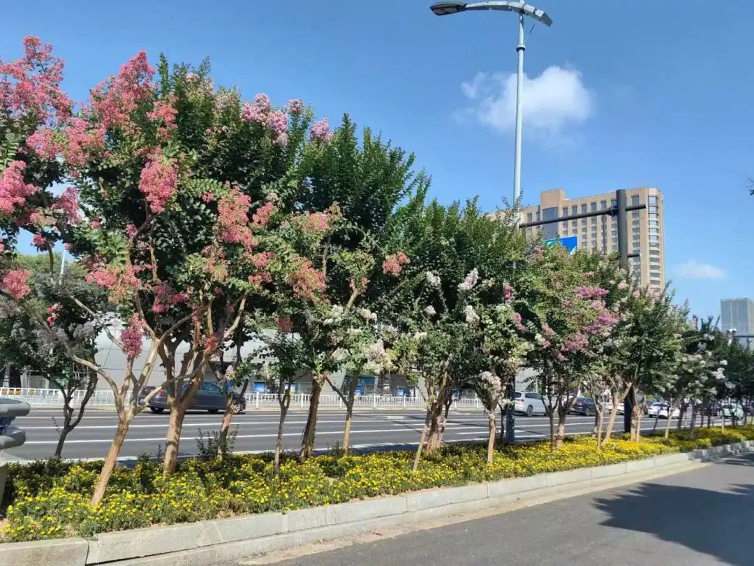 解放路.jpg