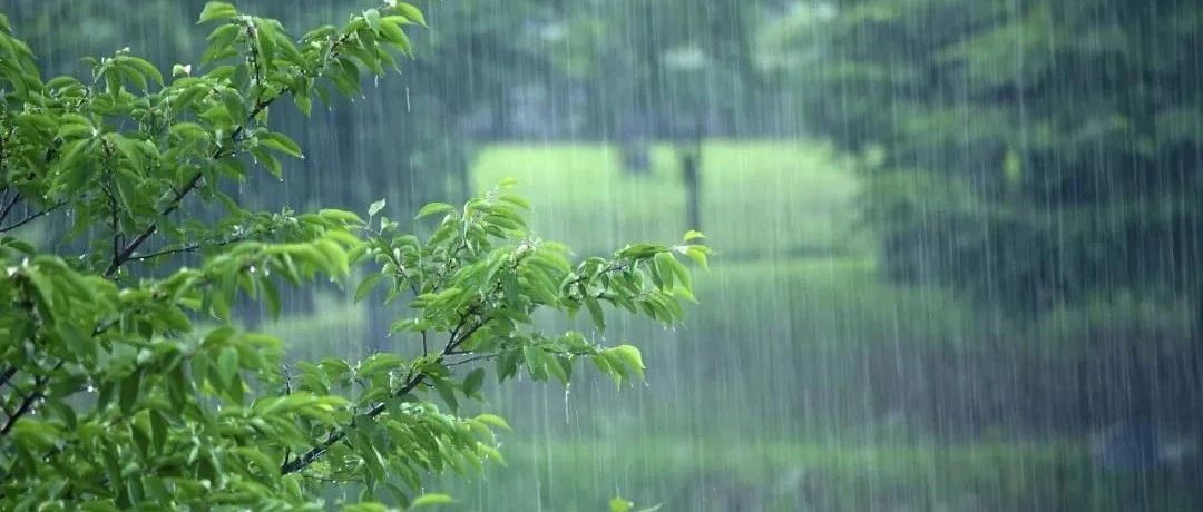 雷电！强降水！暴雨蓝色预警