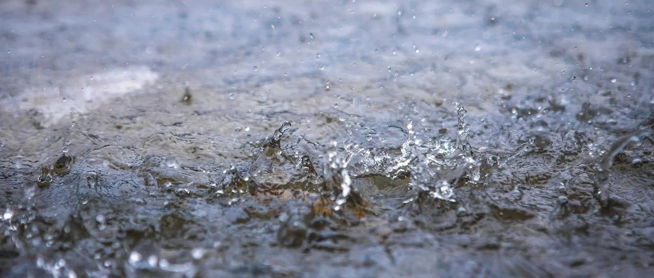 雷电+强降水！暴雨蓝色预警！