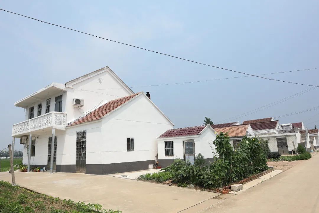 aIMG_7975.jpg
