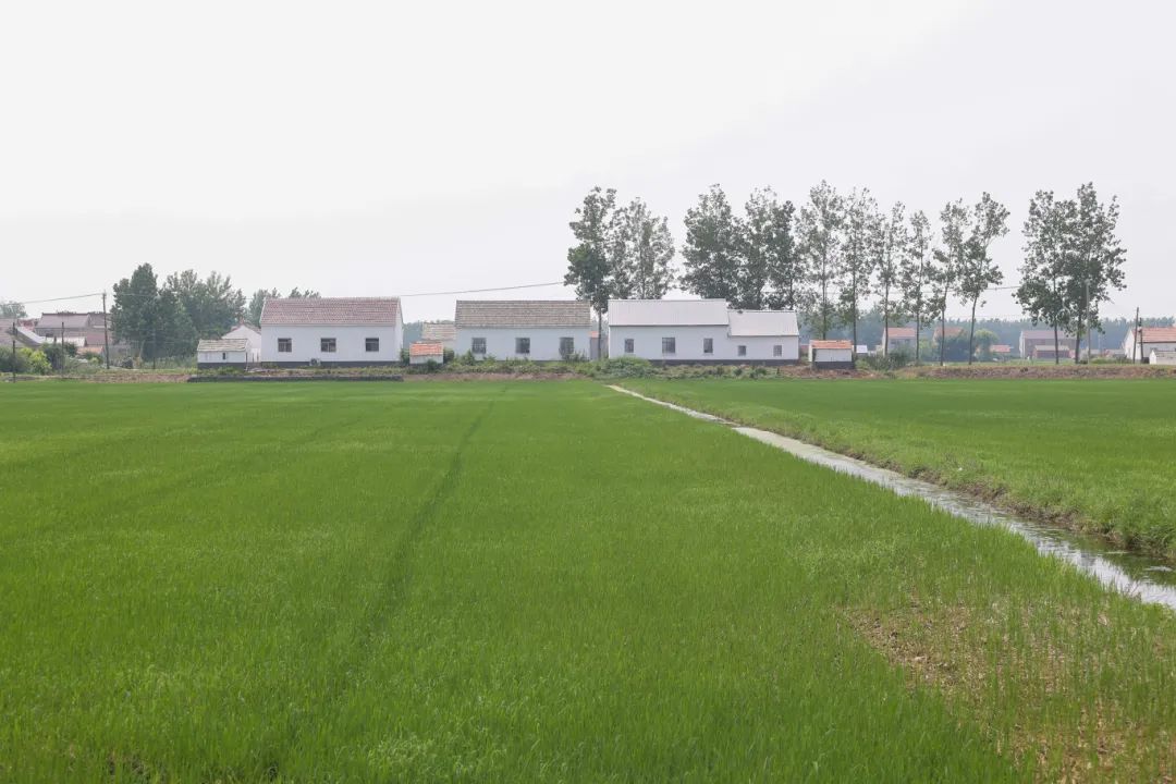 aIMG_7992.jpg