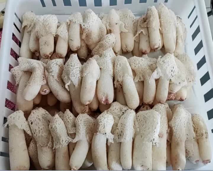 QQ截图20250813114928.jpg