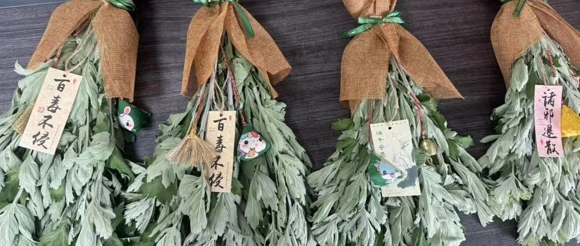 真“艾”了！荒地种出“摇钱树”
