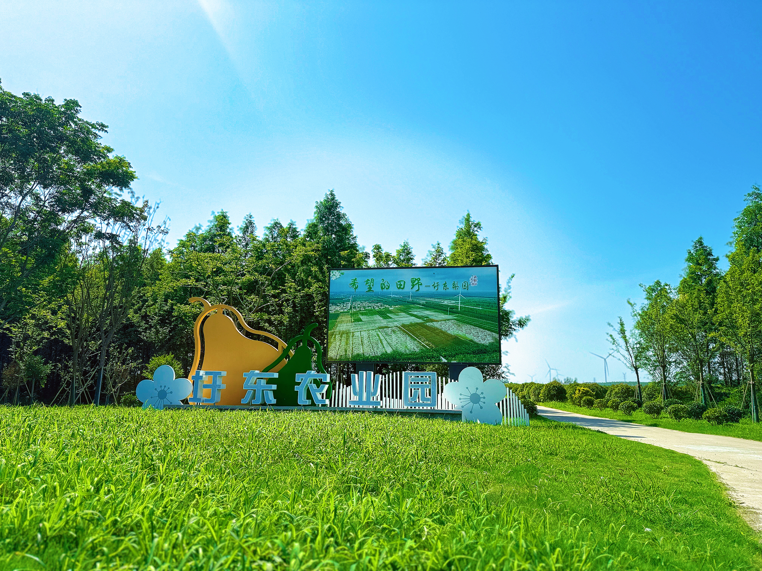 圩东村打造“一轴一园一中心”加快富民强村