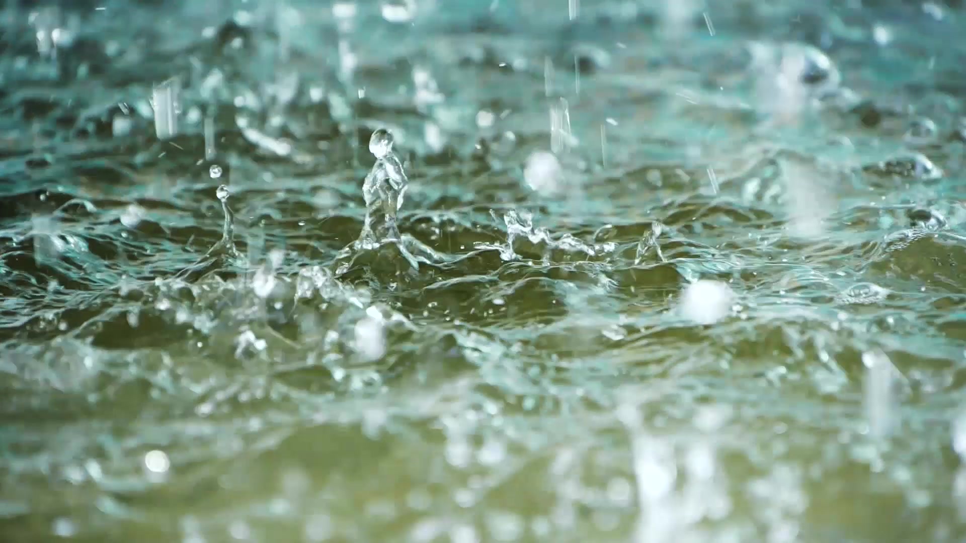 江苏发布暴雨蓝色预警，台风“白海豚”有三大显著特征