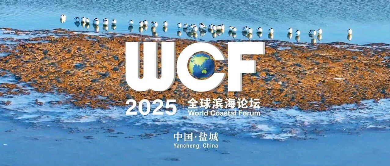 绿色召唤，相约盐城！