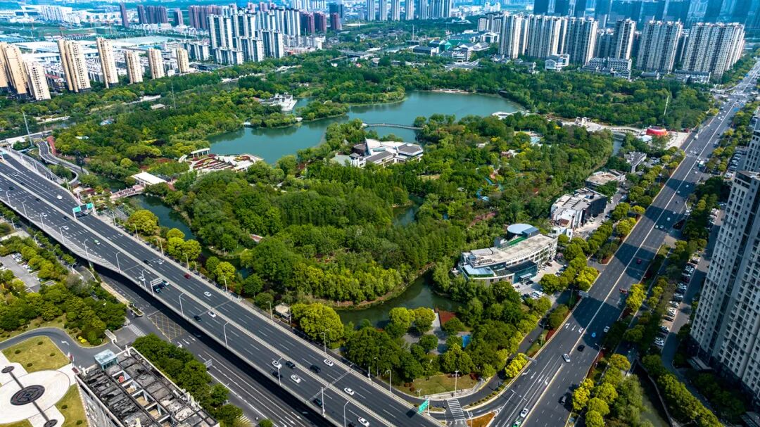 城市绿肺——盐渎湿地公园.jpg
