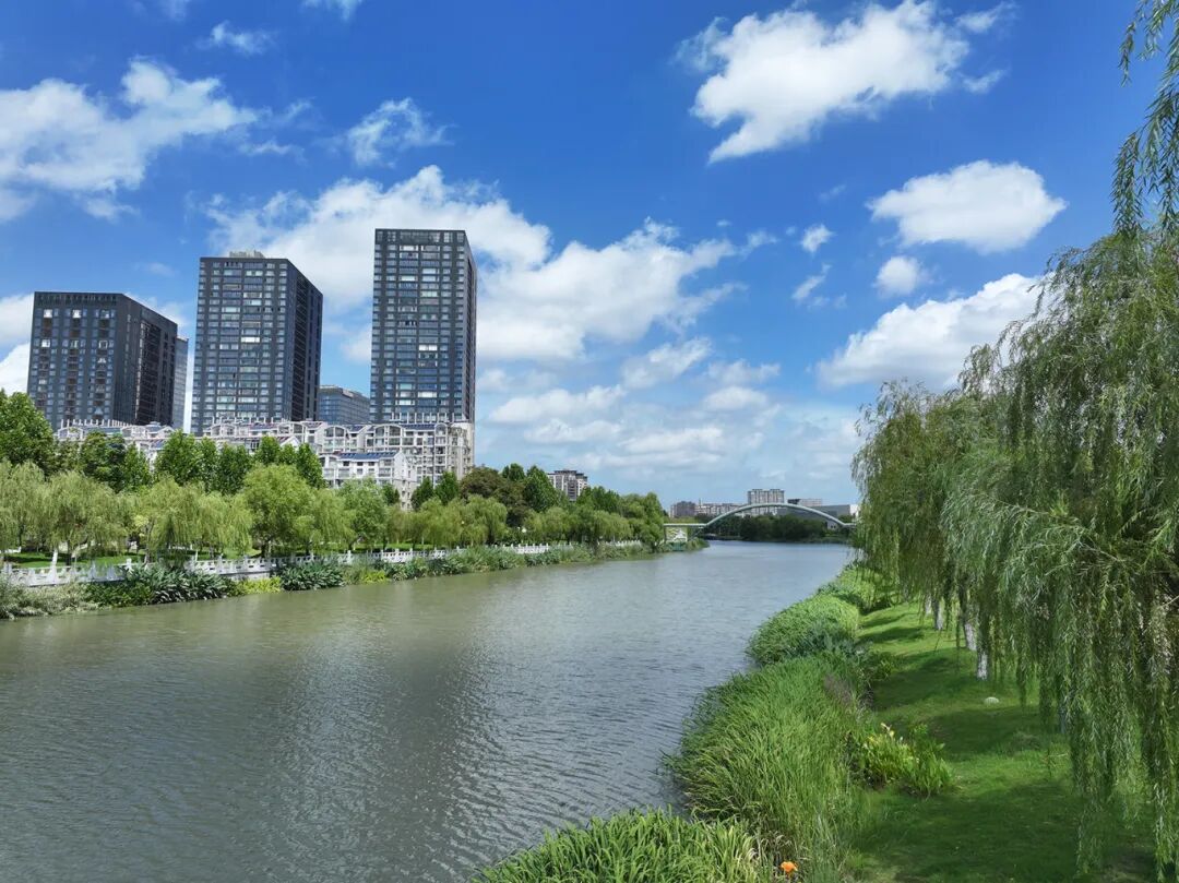 水清岸绿景美的盐城母亲河——串场河.JPG