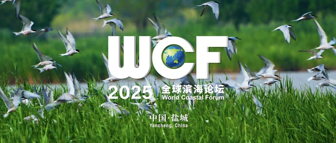 2025全球滨海论坛达成《盐城共识》