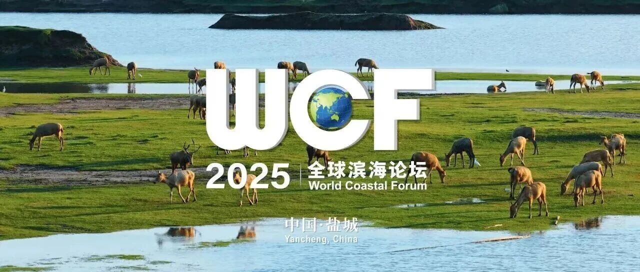 2025全球滨海论坛达成《盐城共识》