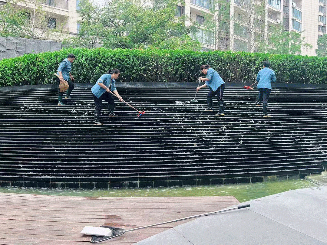 绿阳集团.gif