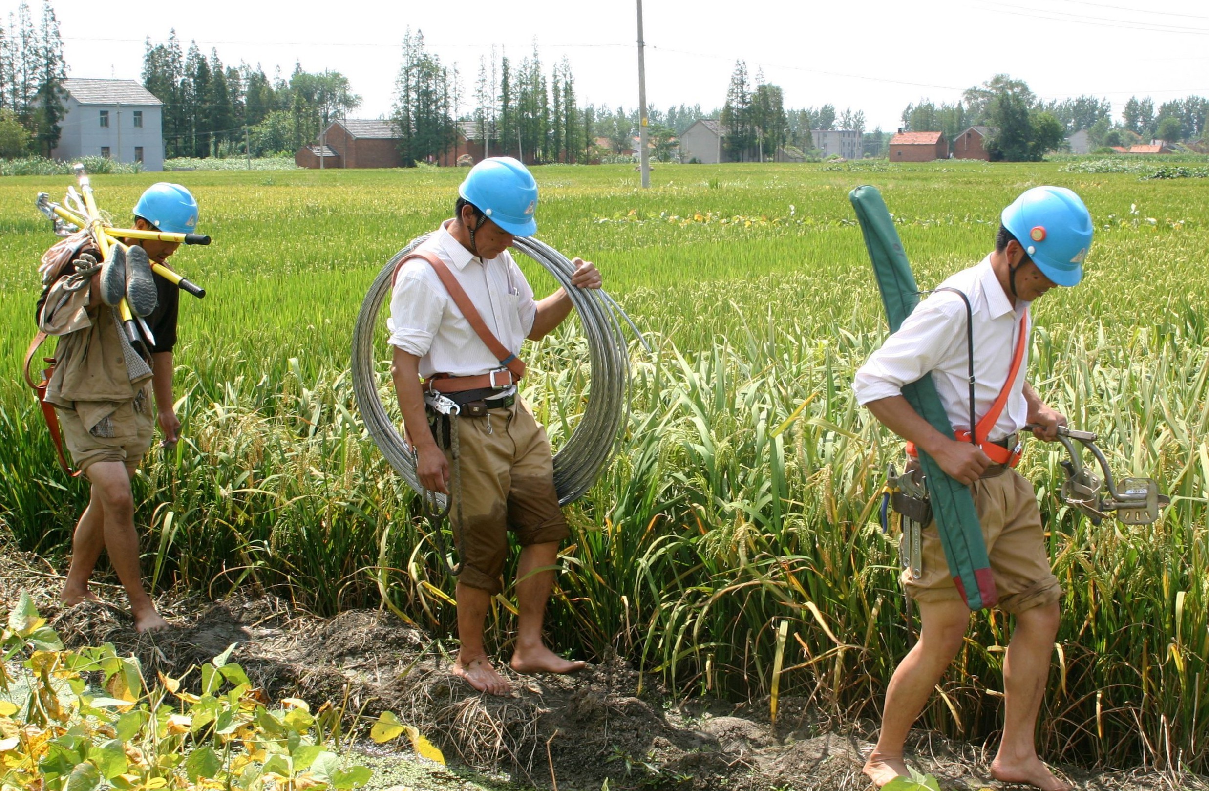 区县新闻丨盐城建湖:秋检除隐患 护电保民生