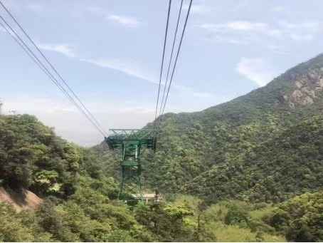 生态中国·幸福画卷丨雾锁云襟处,松涛石韵间(袁月)