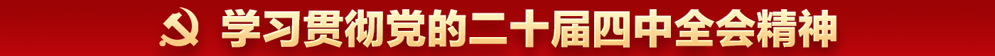 党的二十届四中全会精神