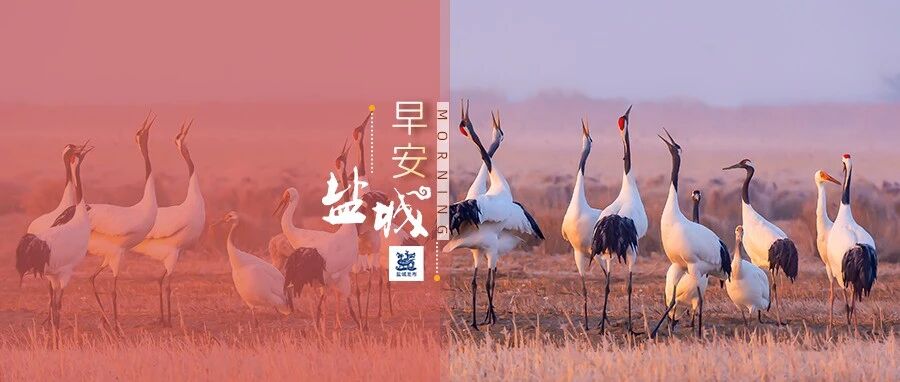 最新考试安排，来了！