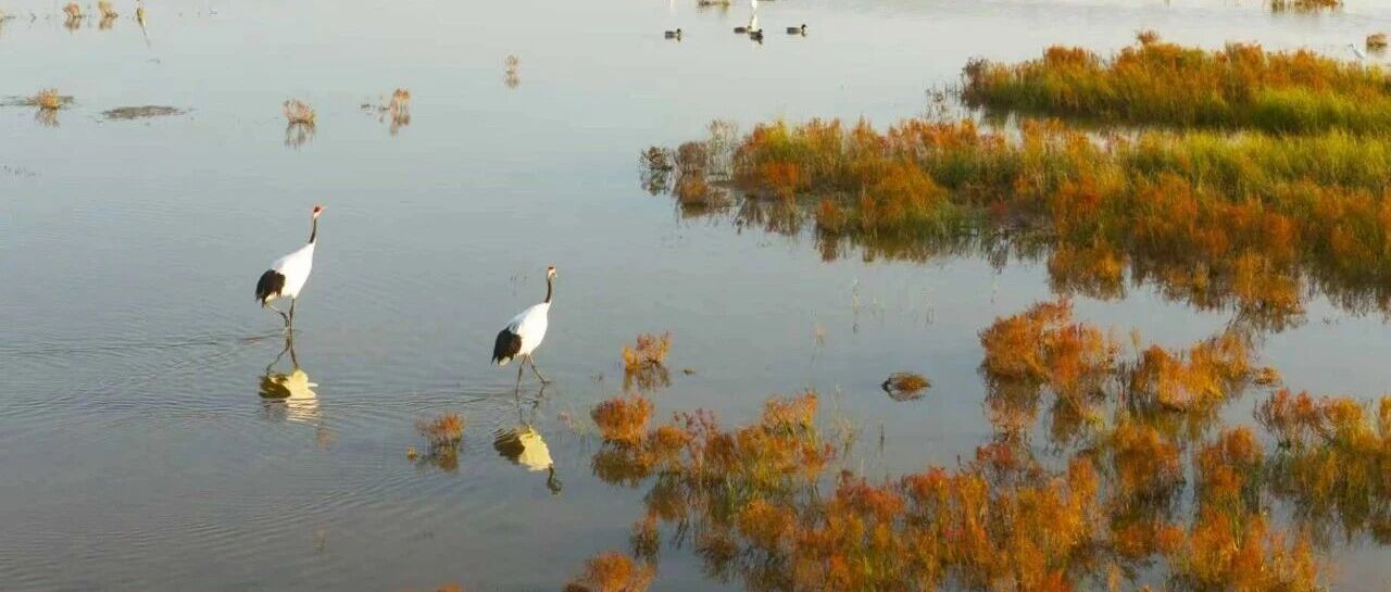 “先头部队”，抵达盐城！