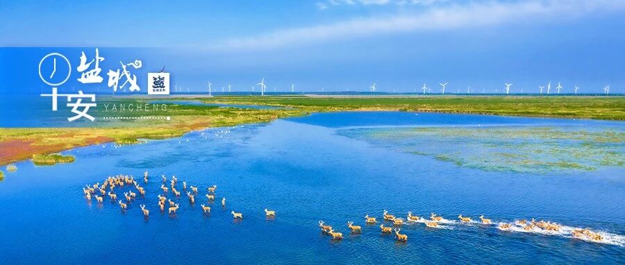 冷空气来了！降到个位数