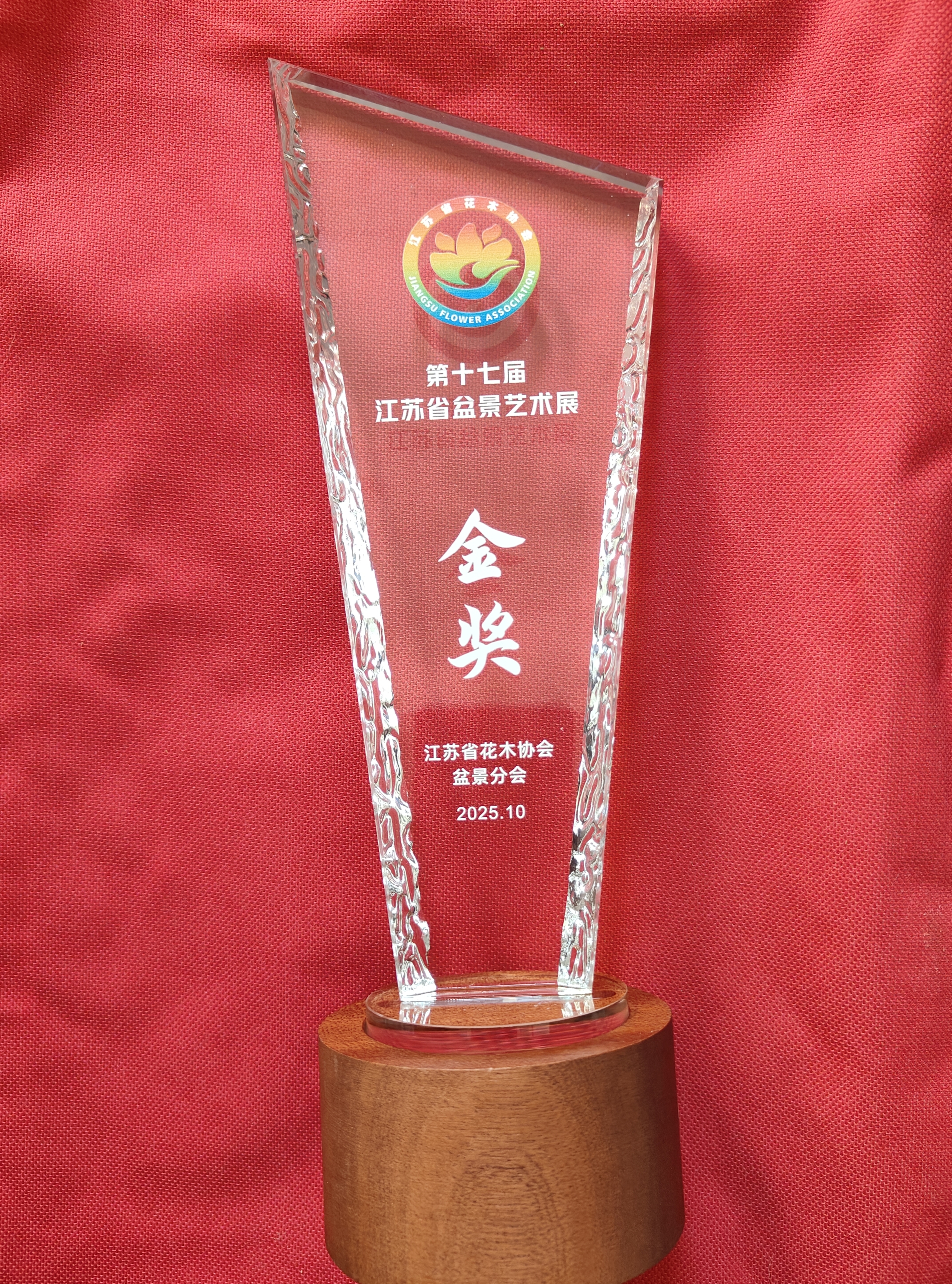 盆景艺术家姜文华作品双获金奖