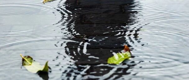 北方大范围雨雪上线！盐城接下来……