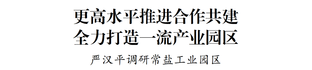 要闻丨严汉平调研常盐工业园区