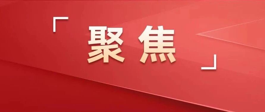 发展农业新质生产力，助推农业农村现代化！党的二十届四中全会精神在我市引发热烈反响