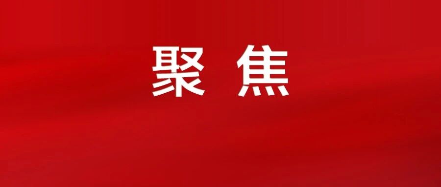 发展农业新质生产力，助推农业农村现代化！党的二十届四中全会精神在我市引发热烈反响