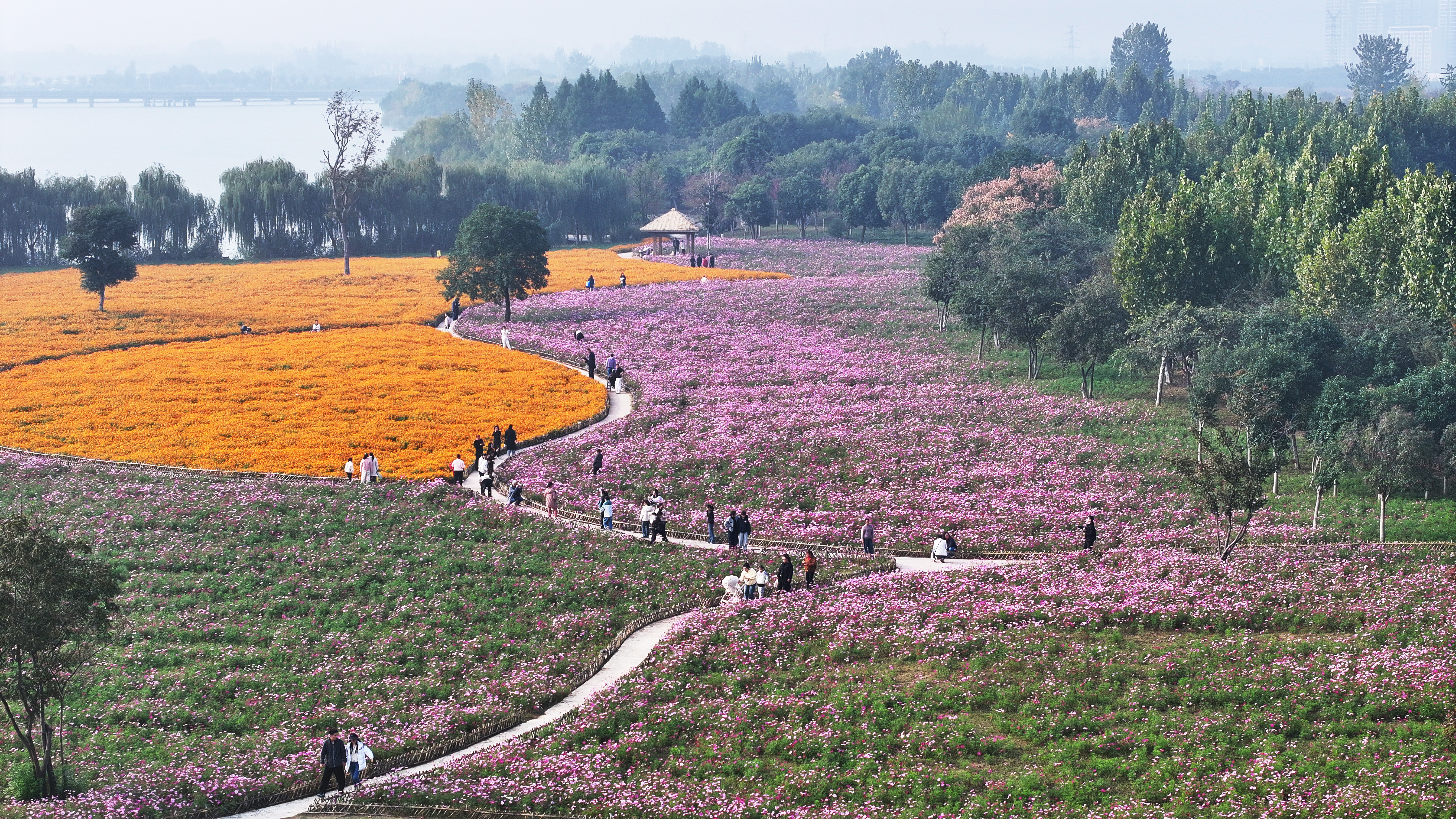 镜头捕秋韵 光影绘盛景
