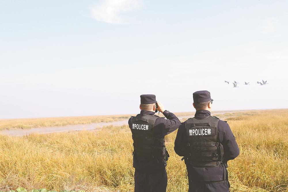 射阳公安深耕生态警务  智慧守护绘就黄海湿地新画卷